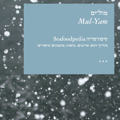 הספר מול ים - mul-yam