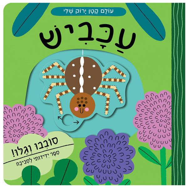 עולם קטן ירוק שלי עכביש - קרטון