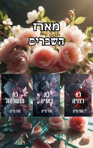 מארז השברים