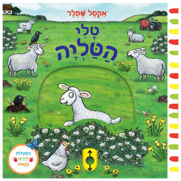 טלי הטליה - קרטון