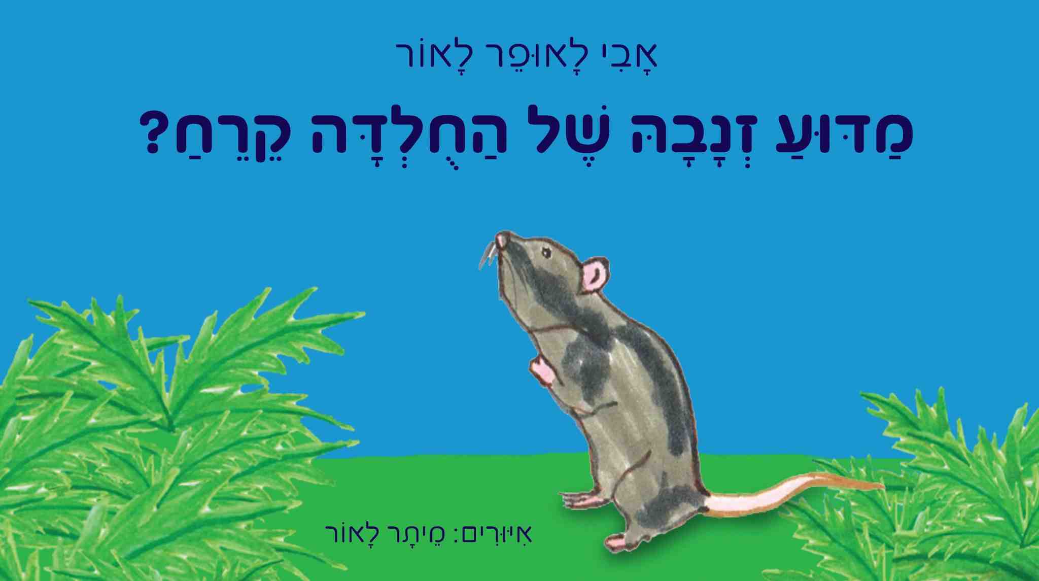 מדוע זנבה של החולדה קרח? / אבי לאופר לאור