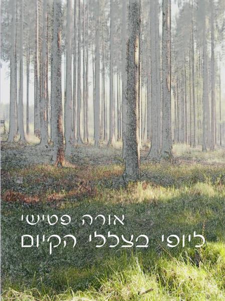 ליופי בצללי הקיום / אורה פטישי