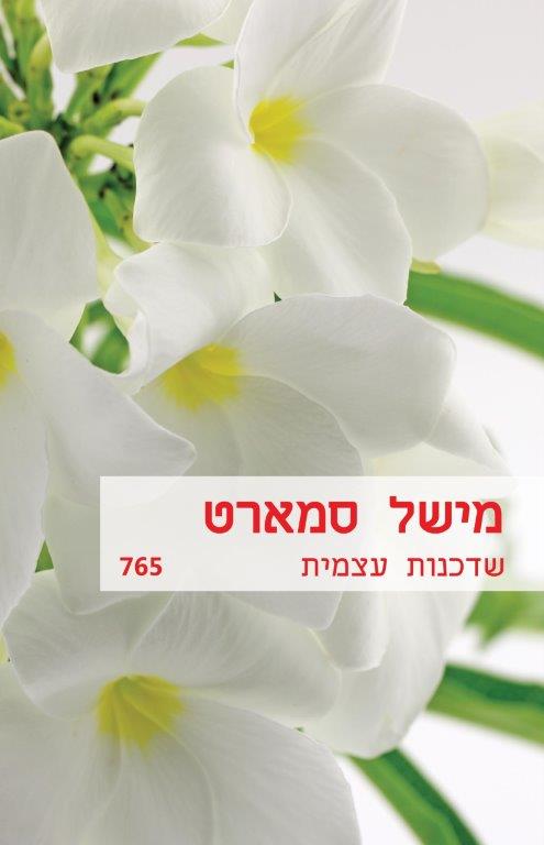 שדכנות עצמית / מישל סמארט