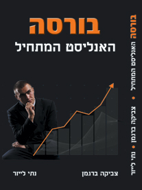 האנליסט המתחיל / צביקה ברגמן