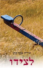 לצידו / עירית אבני כהן