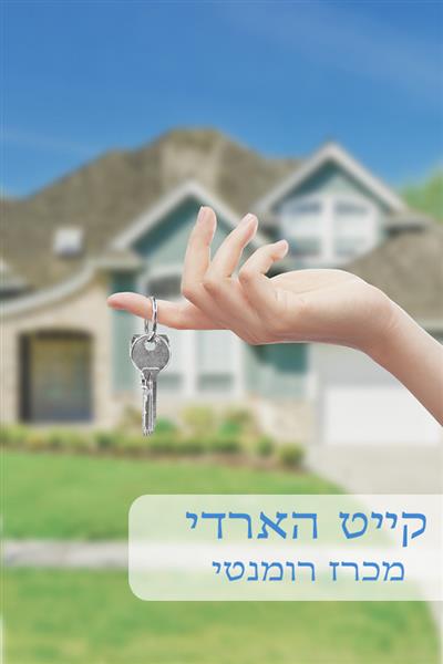 מכרז רומנטי / קייט הארדי