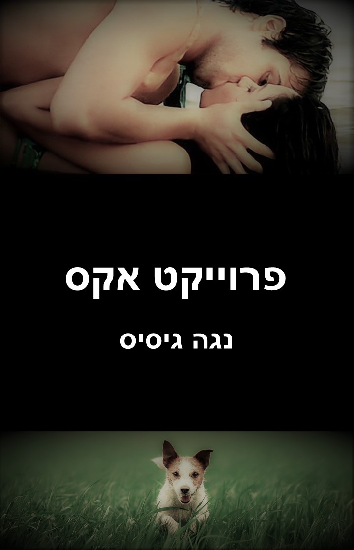 פרוייקט אקס / נגה גיסיס