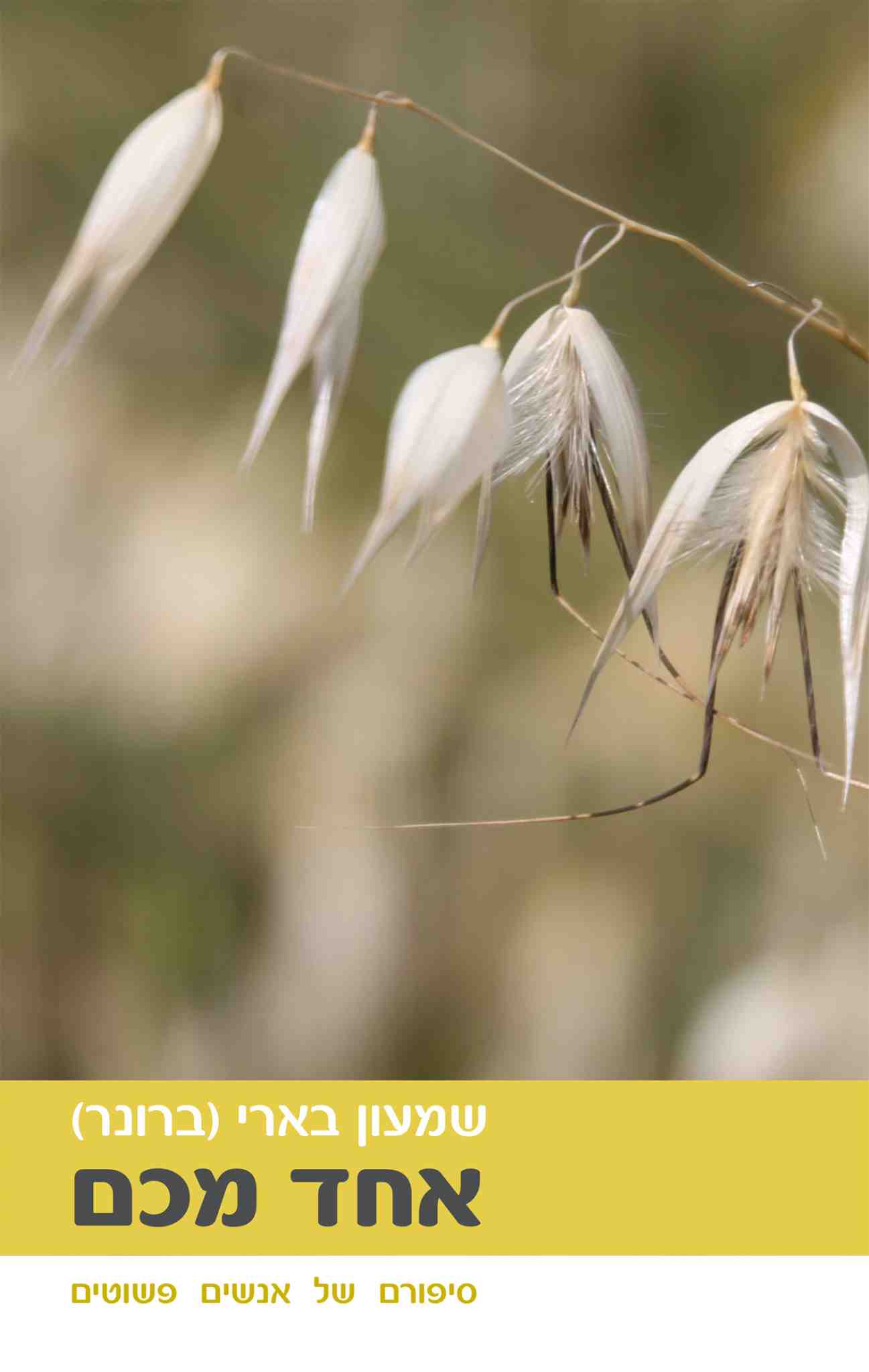 אחד מכם / שמעון בארי